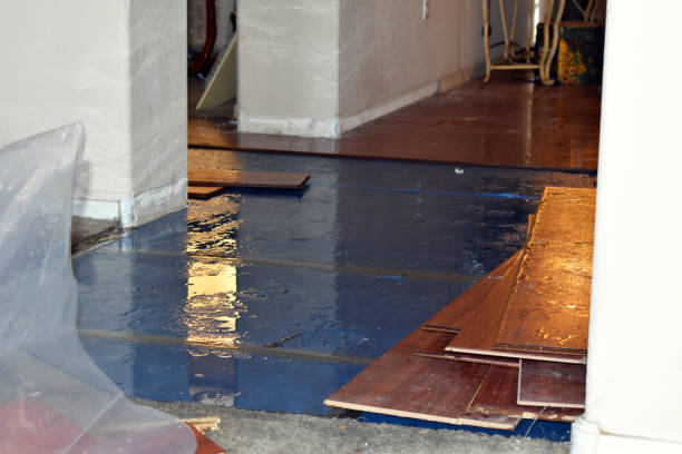 Professional Sewage Cleanup technician working in North Bridgton, ME